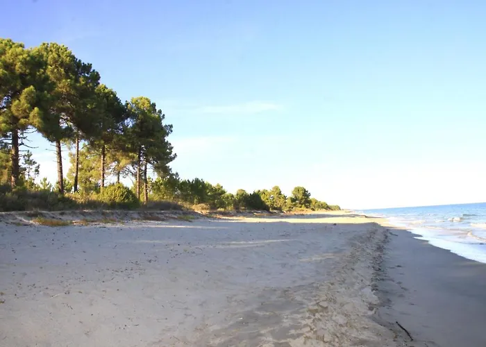 2 People - 150 M From De Sea - Ghisonaccia